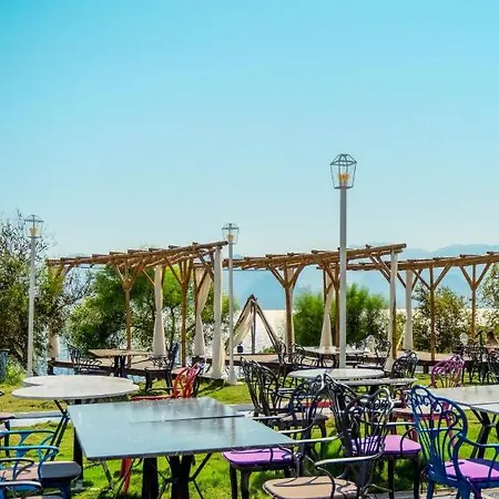 Hotell Lucky Monkey Antalya