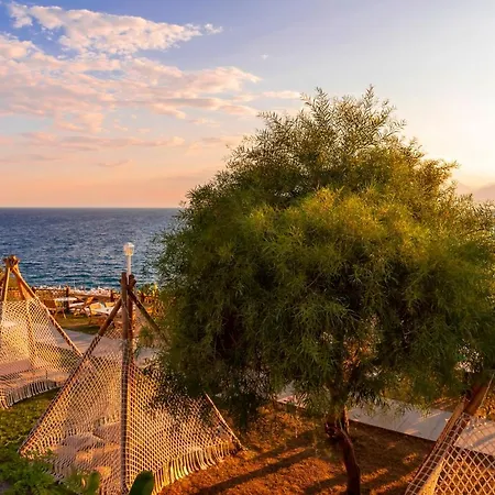 ホテル Lucky Monkey