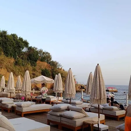 Lucky Monkey Hotel