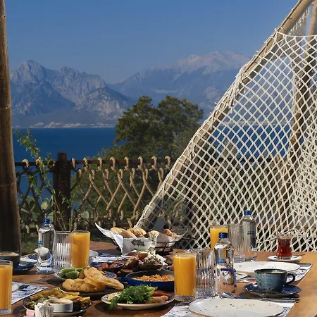 מלון Lucky Monkey