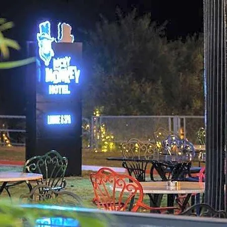 Lucky Monkey 3* Antalya