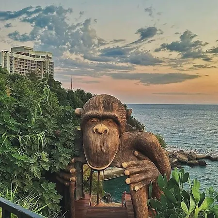 Szálloda Lucky Monkey