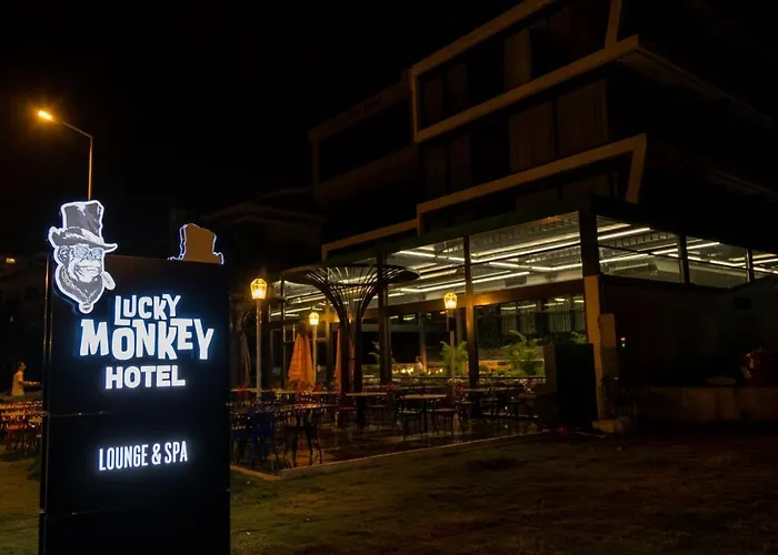 Lucky Monkey מלון 3*