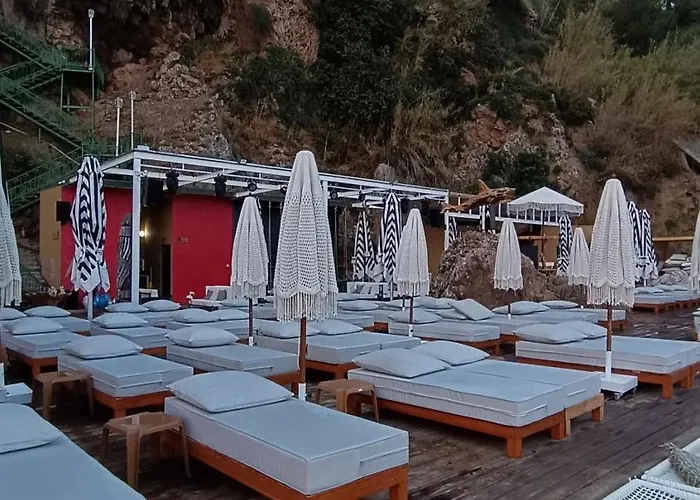 Lucky Monkey מלון 3*