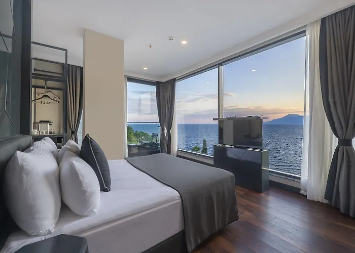 Lucky Monkey אנטליה